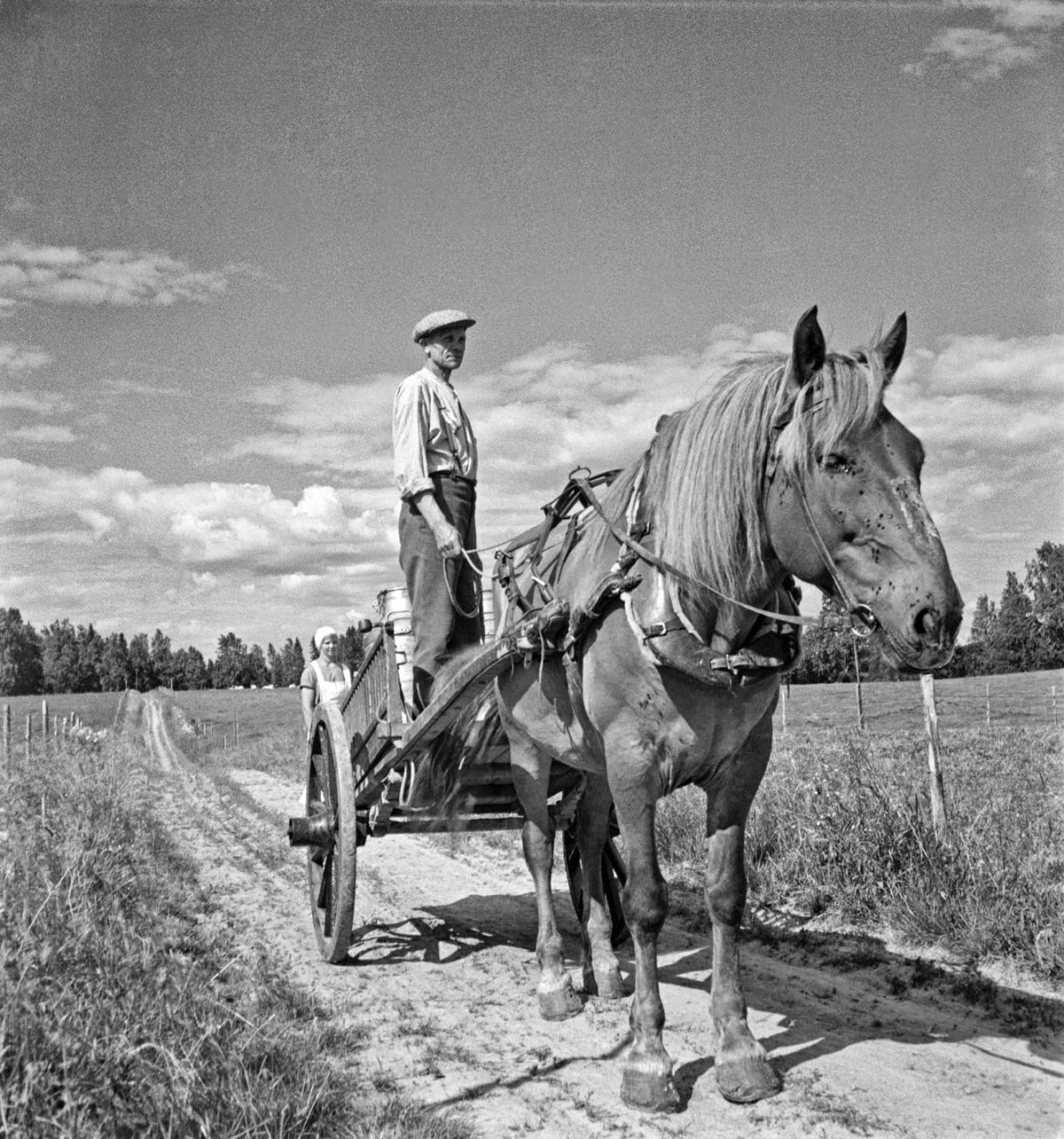 Finland in 1941: Everyday Life Captured by Barbara Wright in Stunning Photos