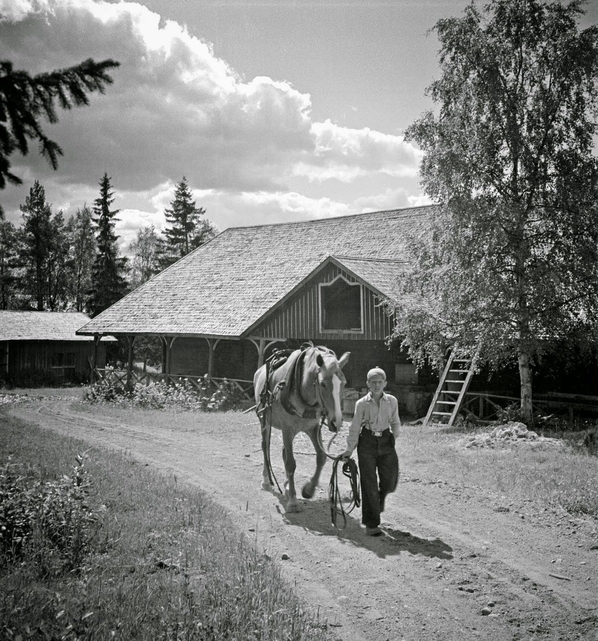 Finland in 1941: Everyday Life Captured by Barbara Wright in Stunning Photos