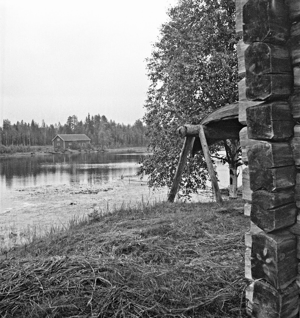 Finland in 1941: Everyday Life Captured by Barbara Wright in Stunning Photos