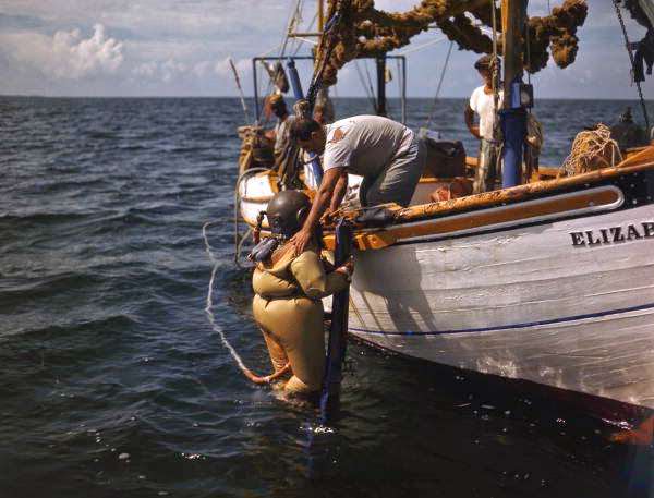Sponge diver entering the water near Tarpon Springs, Florida, 1945