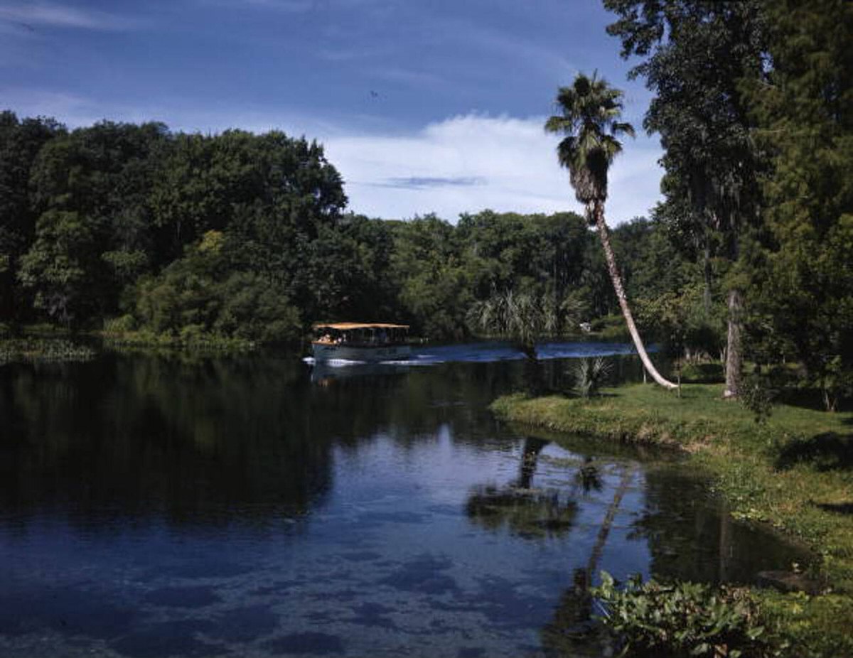 Jay Dee’s jungle cruise at Silver Springs in Ocala, Florida, 1940s