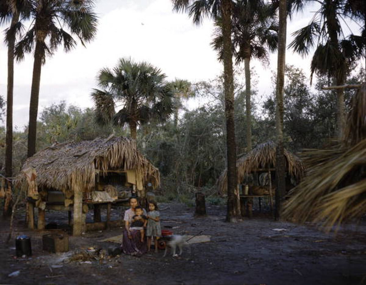 Seminole mother and her children at a camp on the Brighton Seminole Indian Reservation, 1940s
