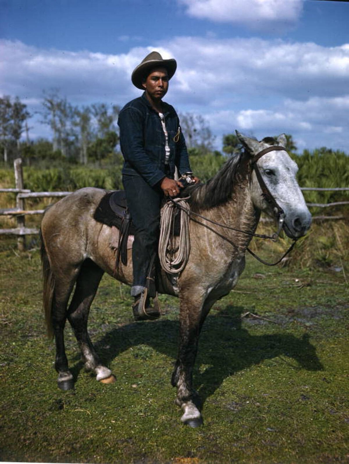 Seminole cattleman on the Brighton Reservation in Florida, 1940s