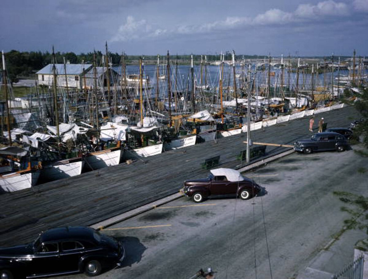 Sponge fleet at St. Nicholas dock in Tarpon Springs during Epiphany services, 1940s