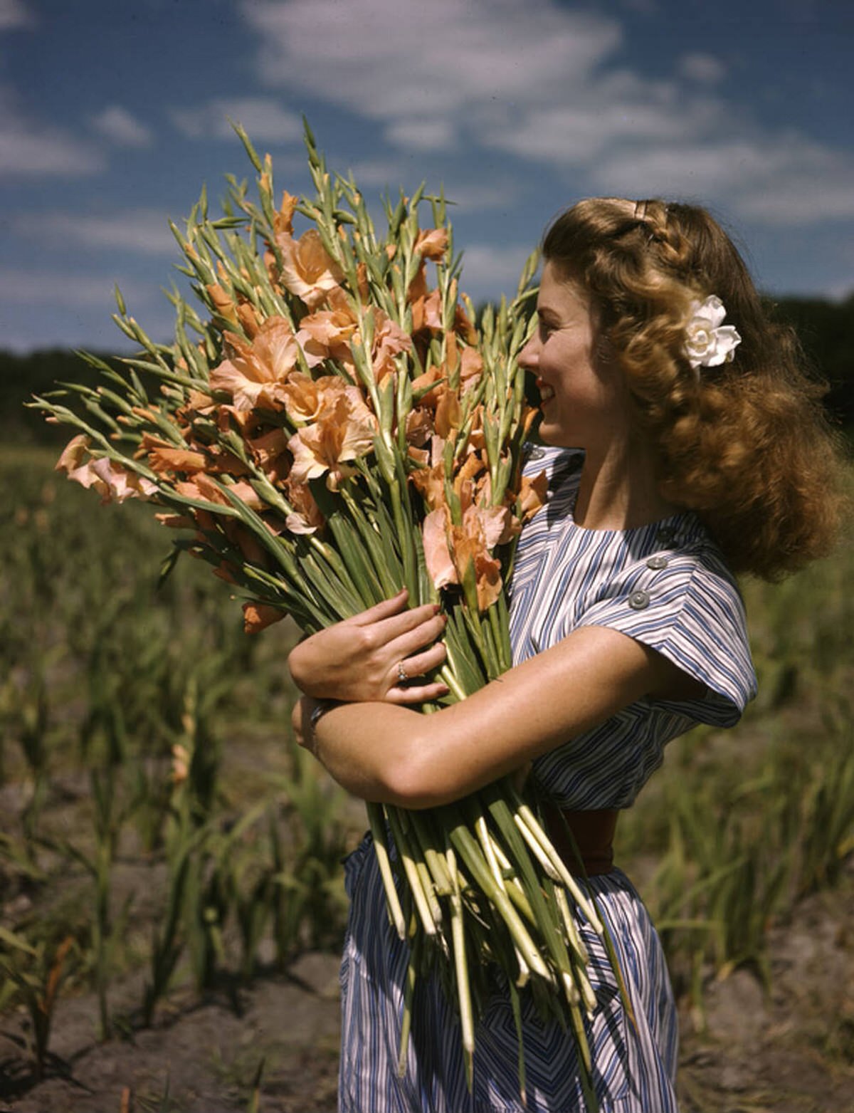 Woman holding gladiolus flowers at Terra Ceia Island Farms, Florida, 1940s