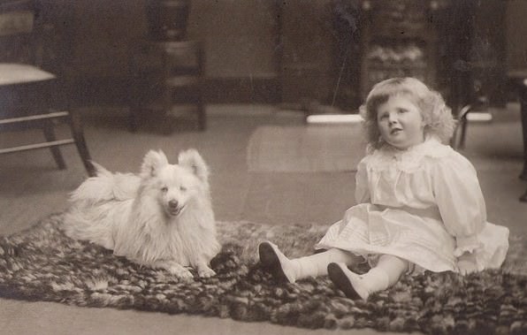 Adorable Vintage Portraits of Girls with Their Dogs You Can’t Help but Love
