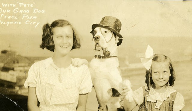 Adorable Vintage Portraits of Girls with Their Dogs You Can’t Help but Love