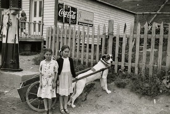 Adorable Vintage Portraits of Girls with Their Dogs You Can’t Help but Love