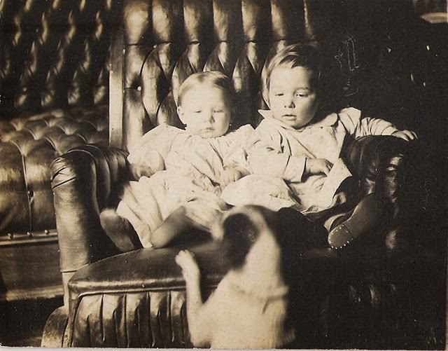 Adorable Vintage Portraits of Girls with Their Dogs You Can’t Help but Love