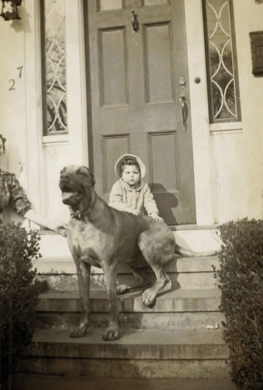 Adorable Vintage Portraits of Girls with Their Dogs You Can’t Help but Love