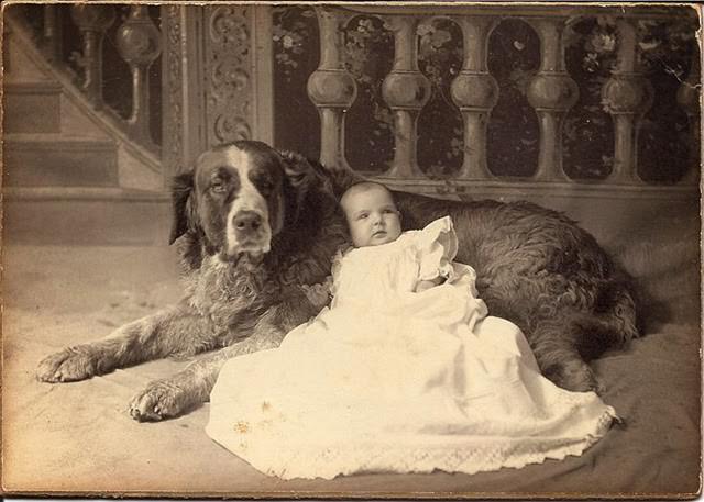 Adorable Vintage Portraits of Girls with Their Dogs You Can’t Help but Love