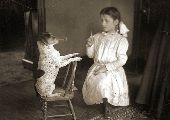 Adorable Vintage Portraits of Girls with Their Dogs You Can’t Help but Love