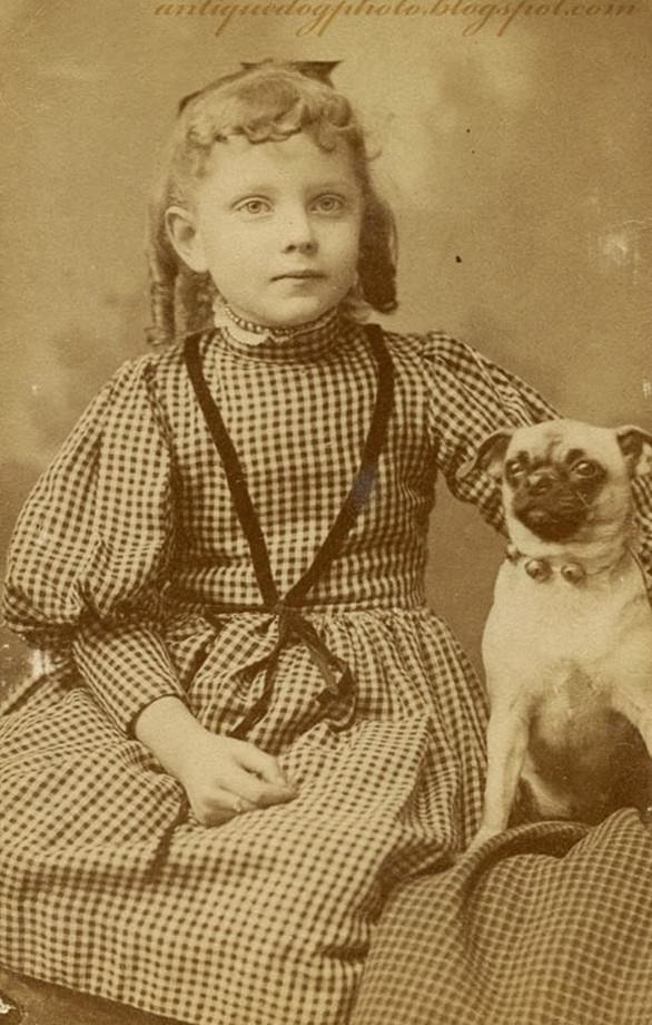 Adorable Vintage Portraits of Girls with Their Dogs You Can’t Help but Love