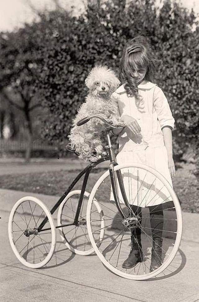 Adorable Vintage Portraits of Girls with Their Dogs You Can’t Help but Love