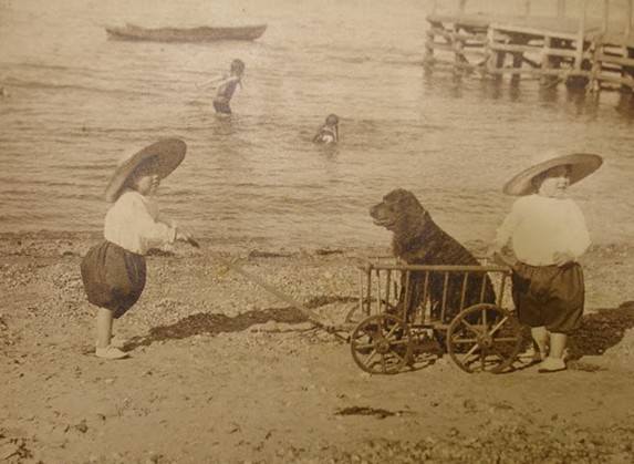 Adorable Vintage Portraits of Girls with Their Dogs You Can’t Help but Love