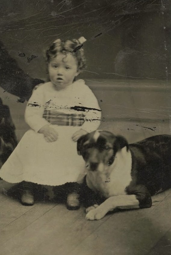 Adorable Vintage Portraits of Girls with Their Dogs You Can’t Help but Love