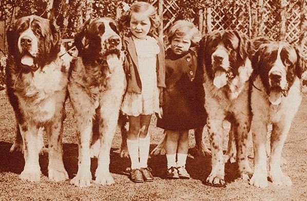 Adorable Vintage Portraits of Girls with Their Dogs You Can’t Help but Love