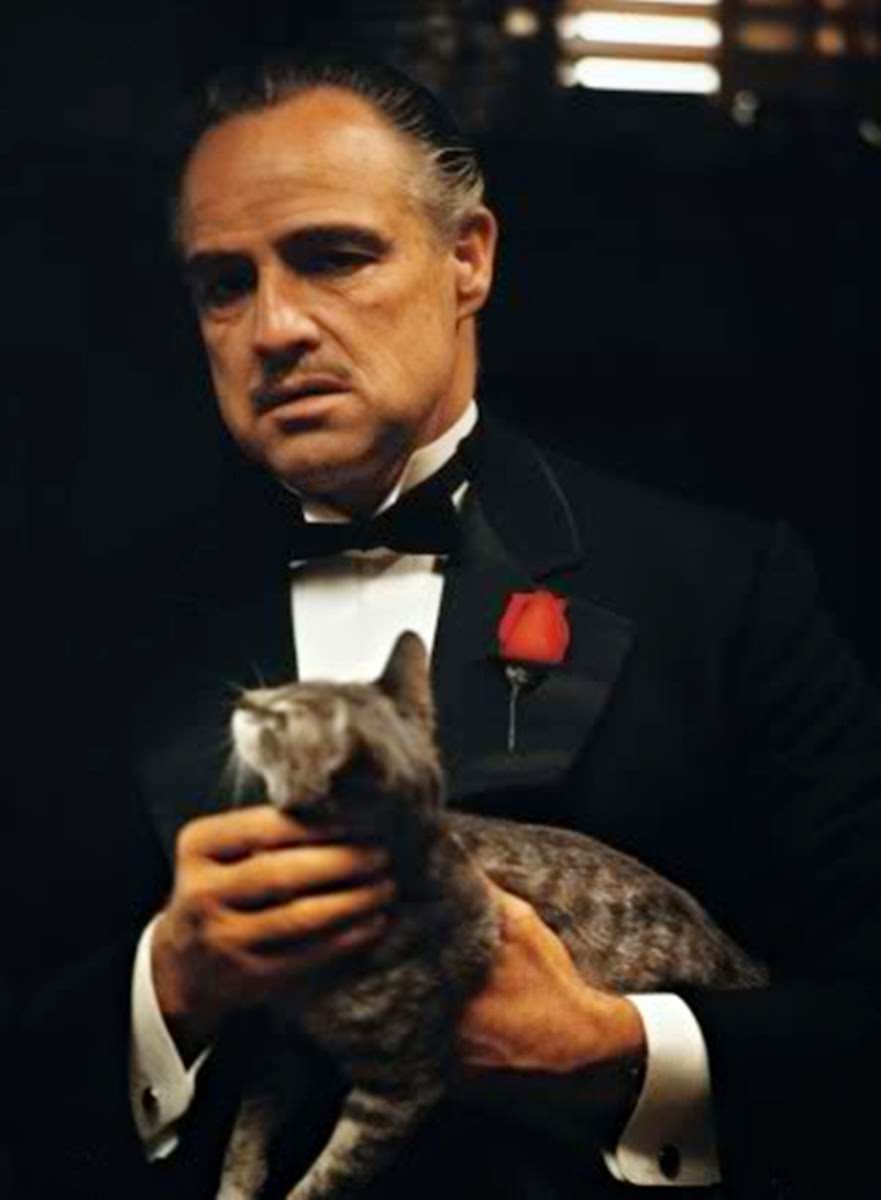 Marlon Brando as Don Vito Corleone, The Godfather, 1972
