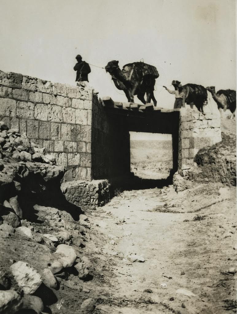 Camel transport crossing a railway bridge just outside Beersheba, 1914