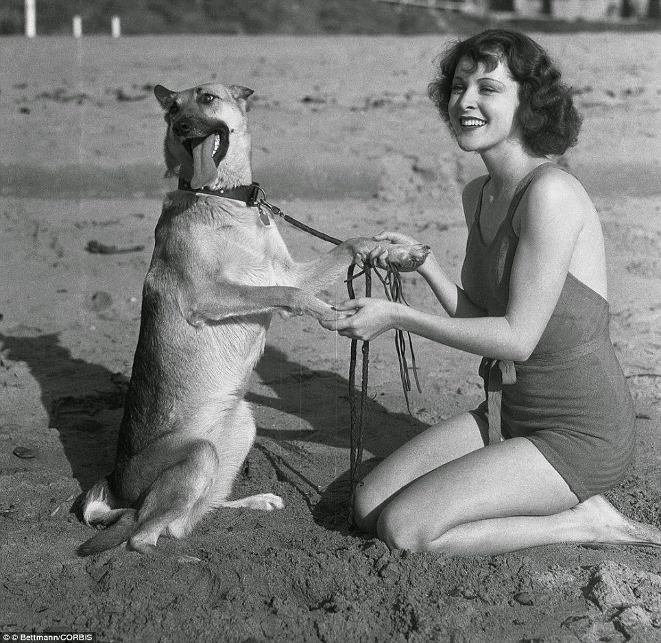 Frances Dee on the beach with her German Shepherd, 1933