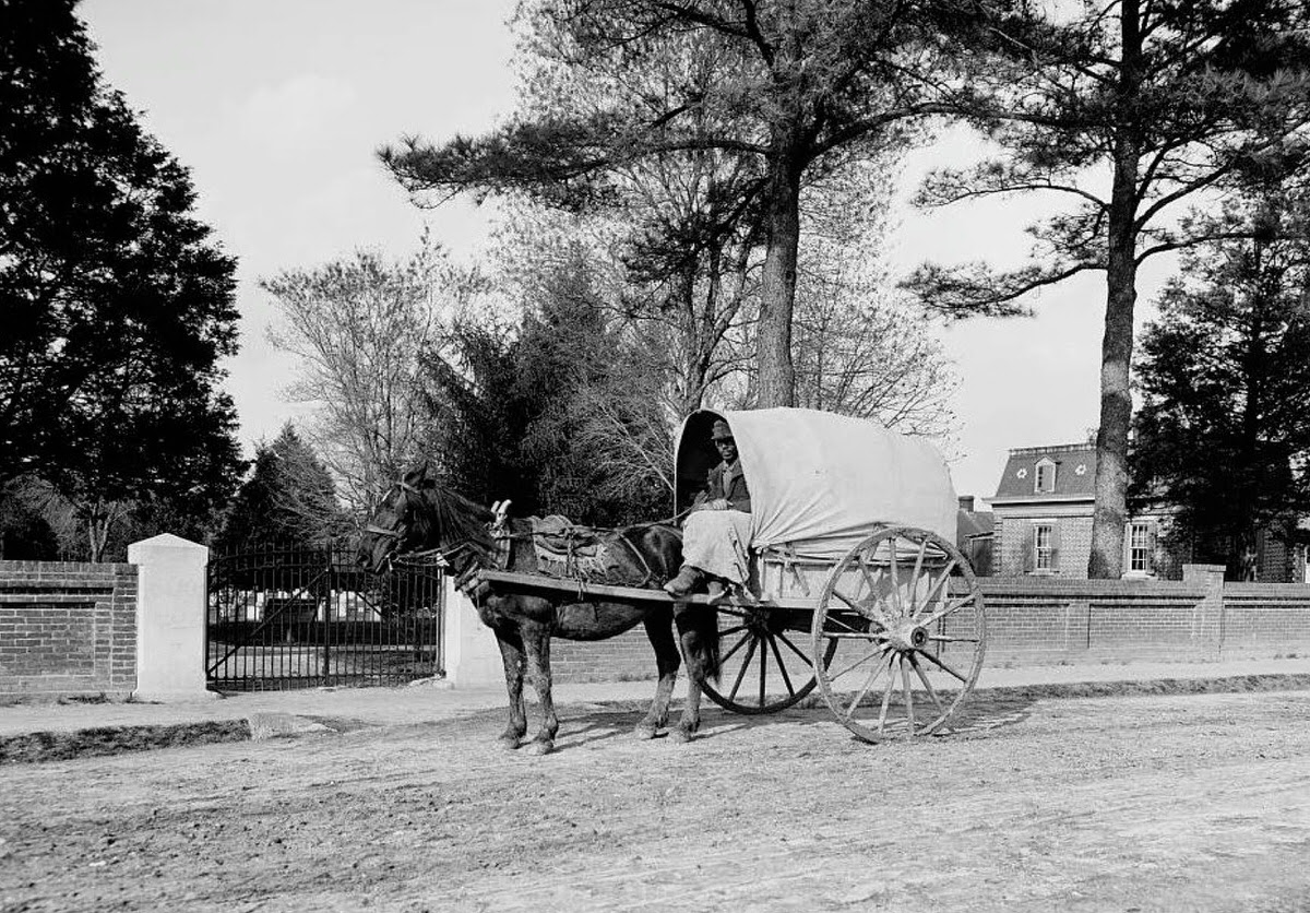 Vegetable cart in Virginia, 1899