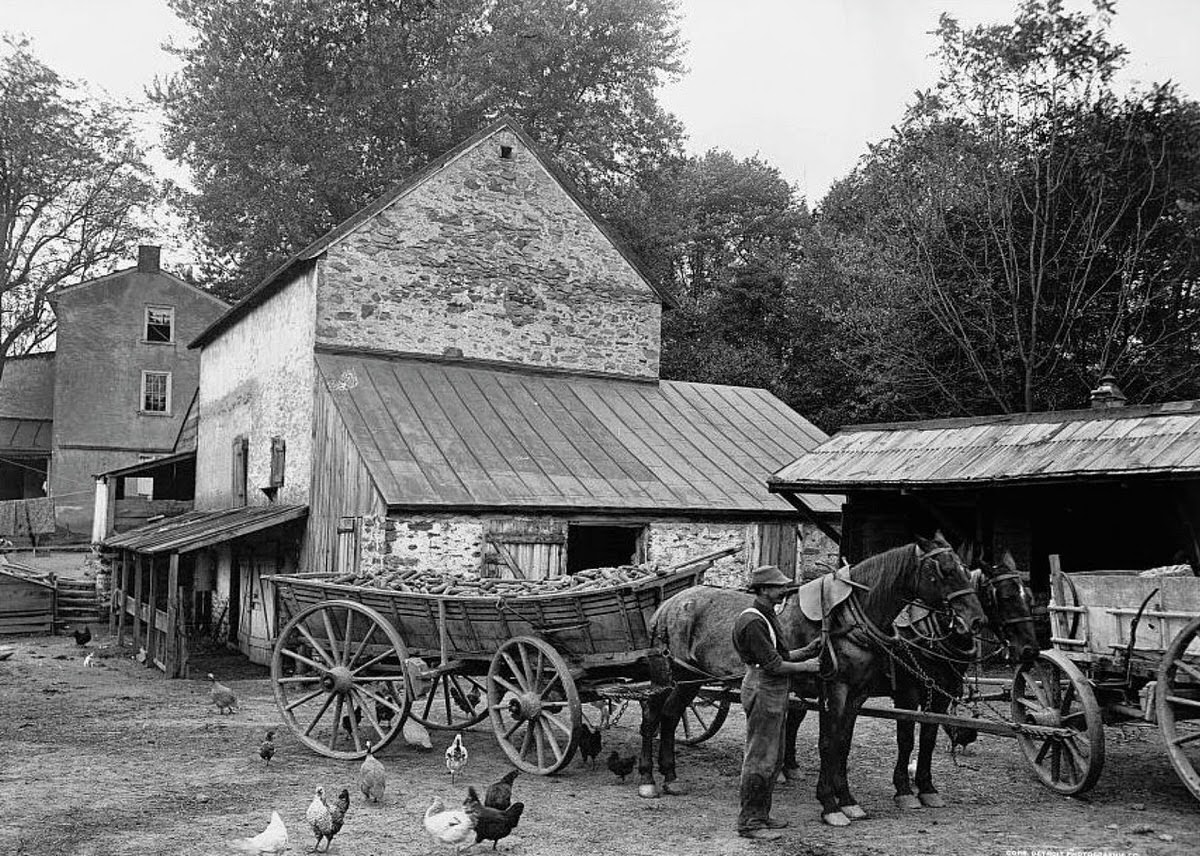Farm yard scene in Germantown, 1899