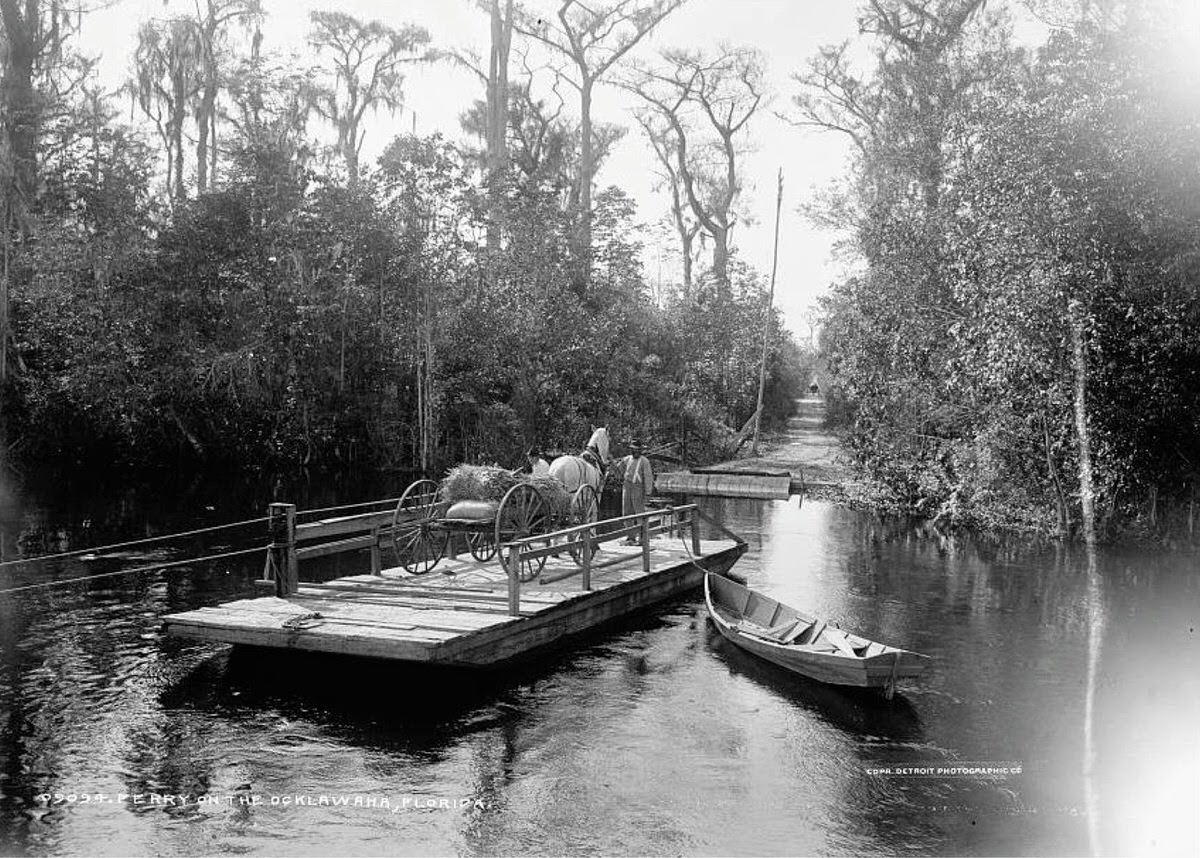 Ferry on the Ocklawaha River, Florida, 1898