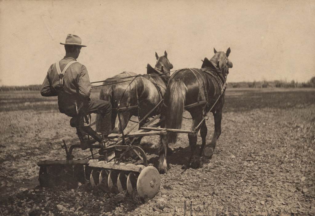 Farmer riding a disc pulled by a team of horses, 1890s