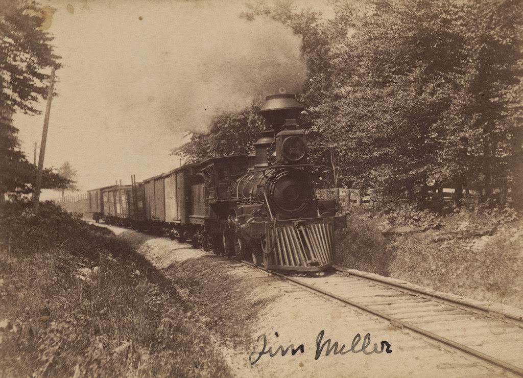 Road coming around a curve in a grove in Goderich, 1890s