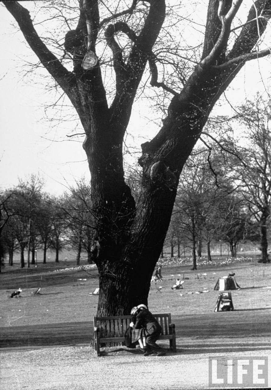 A couple embracing in a passionate moment on the bench in Hyde Park.