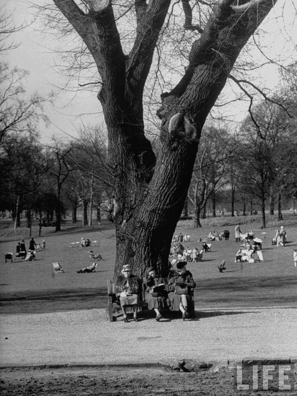 Older woman relaxing on the park bench.