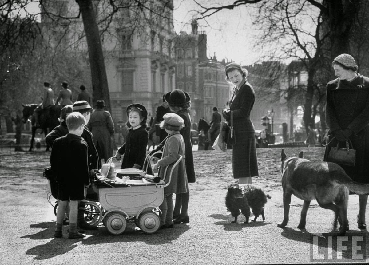 Children playing and people walking their pets in the park on a lovely spring day.