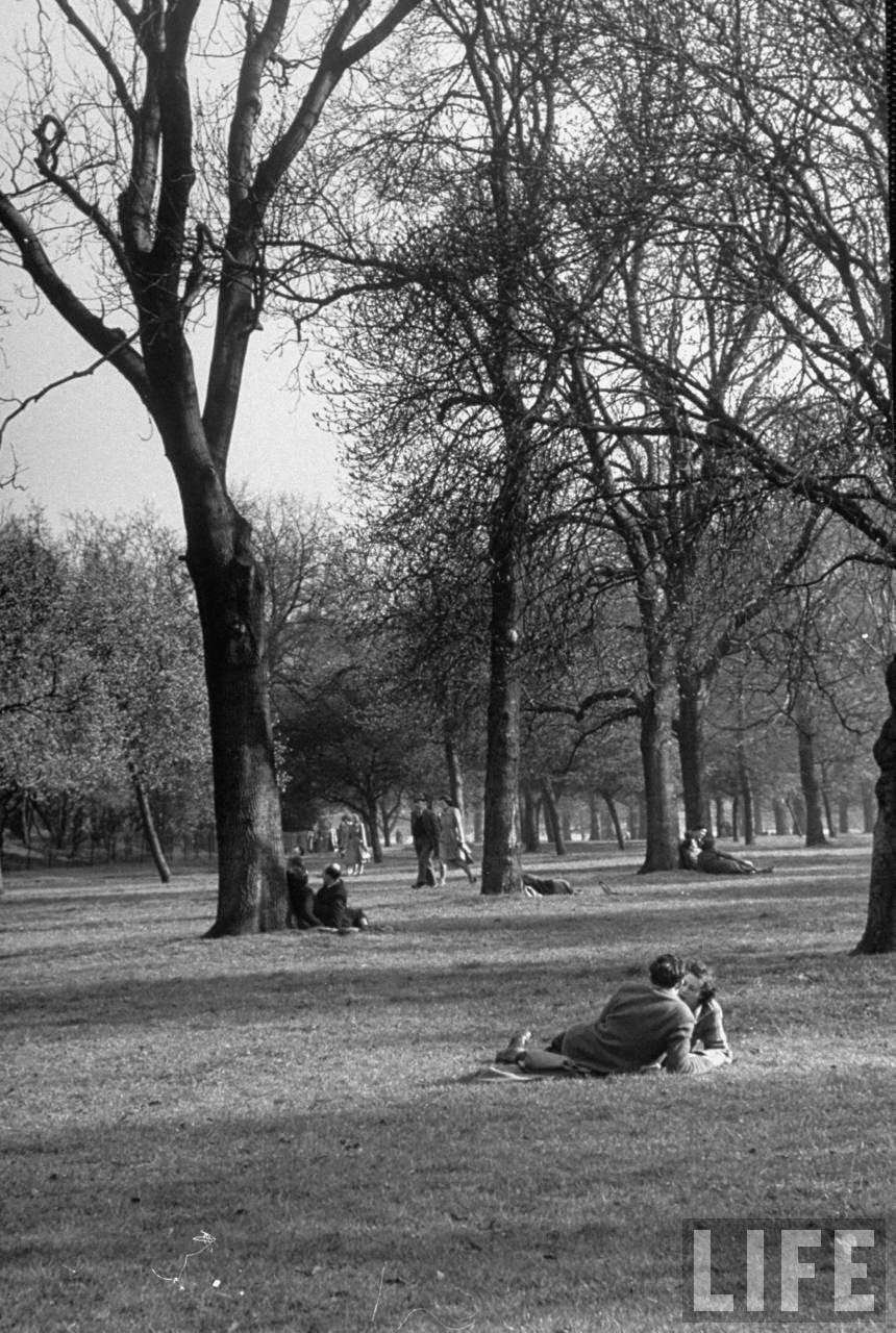 Couples in the park cuddling under the trees.