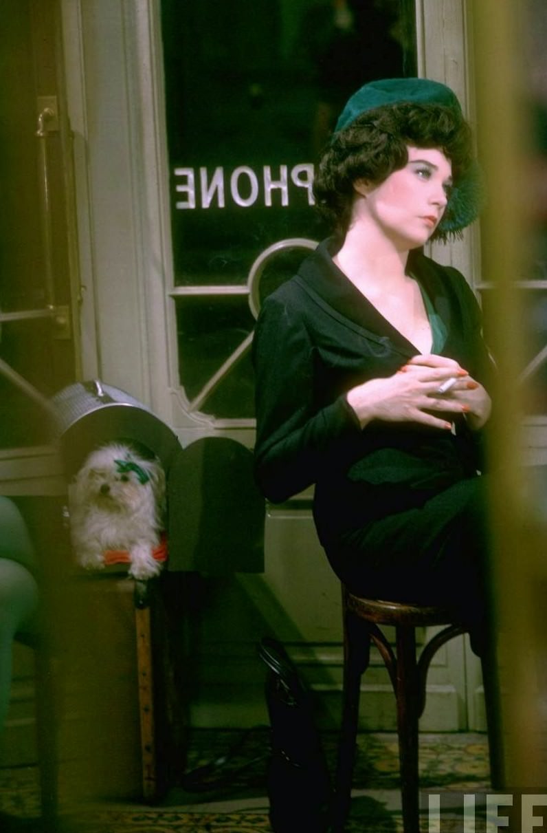 Shirley MacLaine as Irma sitting in a cafe with a small dog, Irma La Douce, 1963