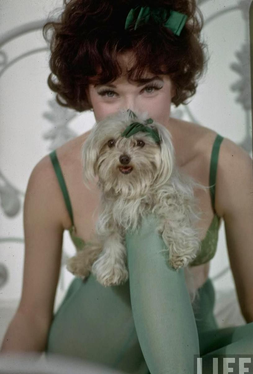 Shirley MacLaine as Irma posing with a small dog, Irma La Douce, 1963