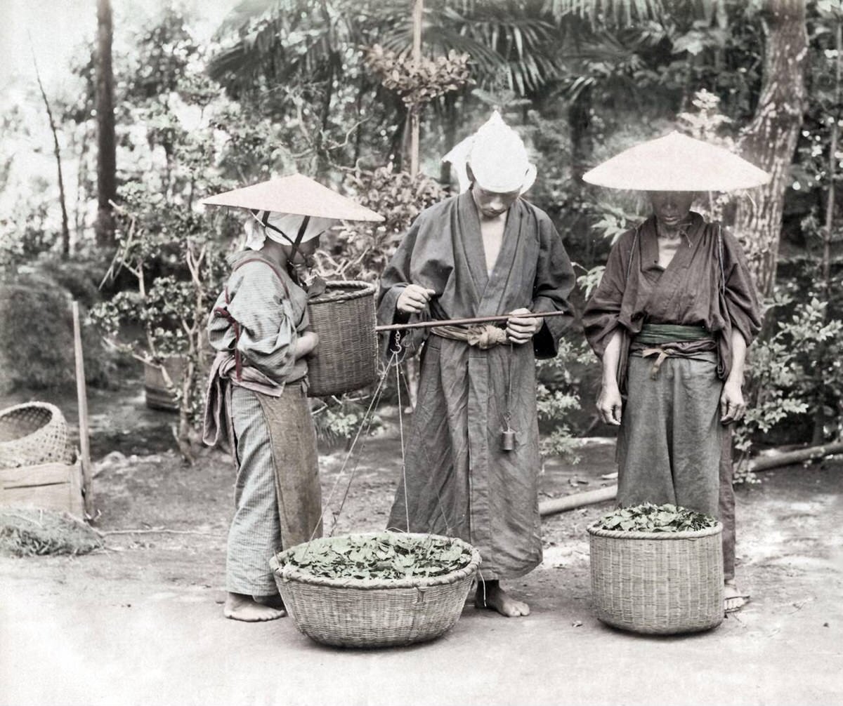 Group of farm workers, 1890