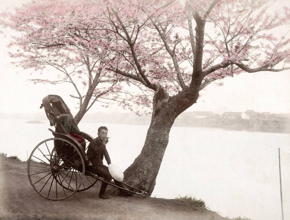 Rickshaw in Mukojima, Tokyo, 1880s