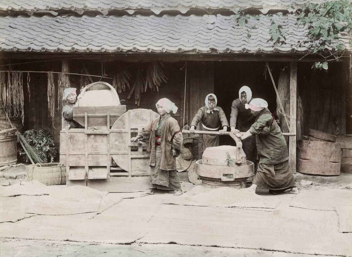 Pounding and cleaning rice with bellows, 1890