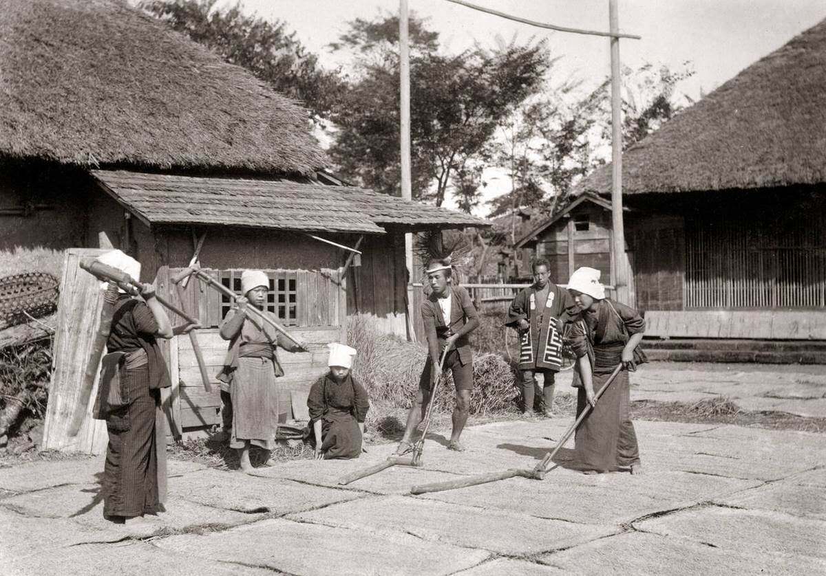 Threshing grain with flails in Japan, 1880s
