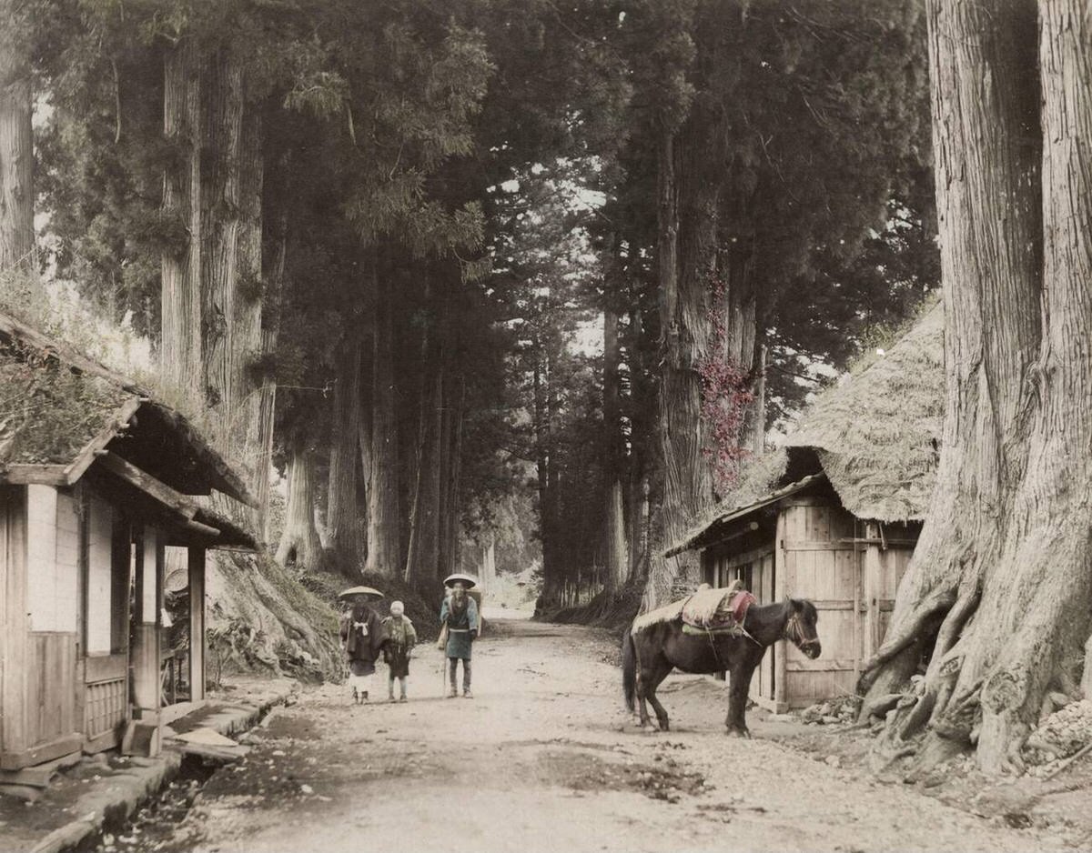 Travellers and a pack pony on a country road, 1890