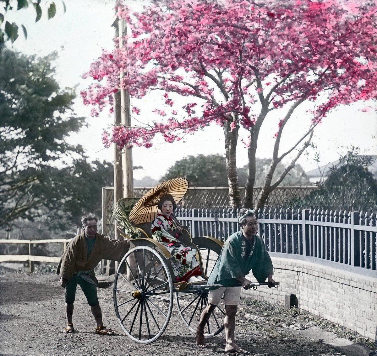 Woman in a rickshaw with a parasol, 1890s