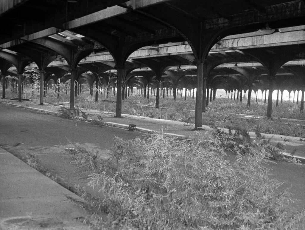 Abandoned Central Railroad of New Jersey train shed prior to the construction of Liberty State Park, 1975