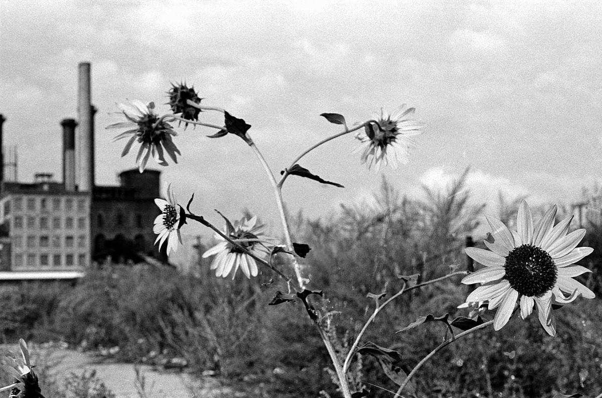 Abandoned factories and the Hudson and Manhattan Railroad powerhouse in Jersey City, 1977