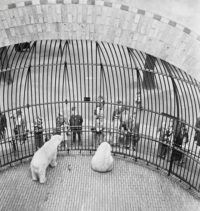 People behind bars at the Berlin Zoo, 1930s
