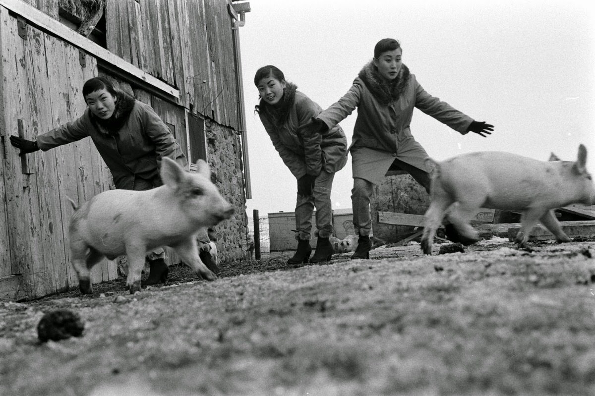 The Kim Sisters in Illinois, ,1960