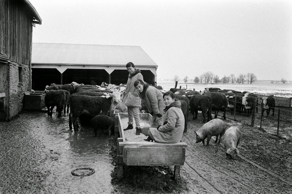 The Kim Sisters in Illinois, ,1960