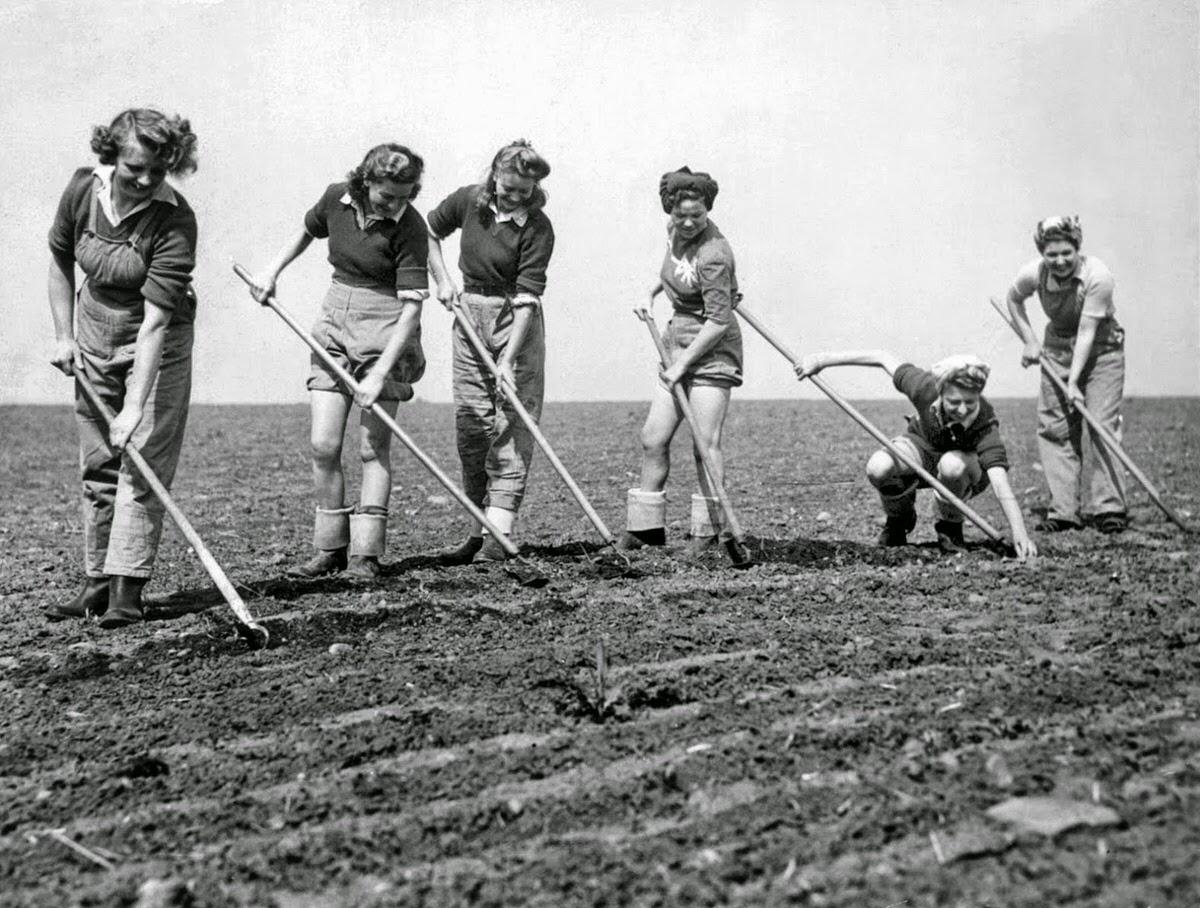 Vintage Photos of Land Girls During World War II: The Women Who Kept Britain Growing