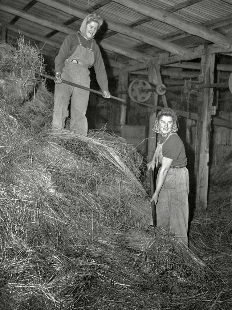 Vintage Photos of Land Girls During World War II: The Women Who Kept Britain Growing