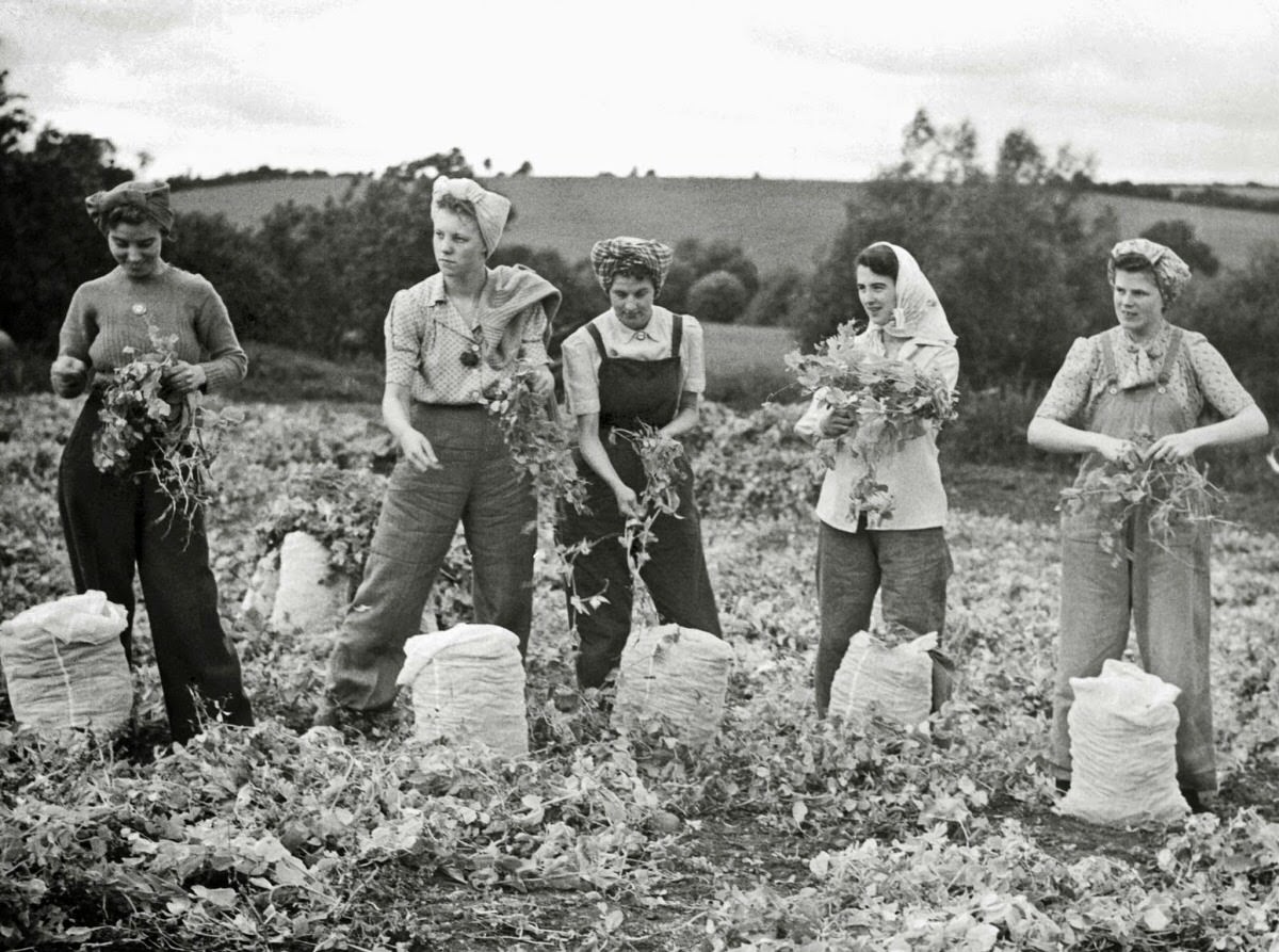 Vintage Photos of Land Girls During World War II: The Women Who Kept Britain Growing