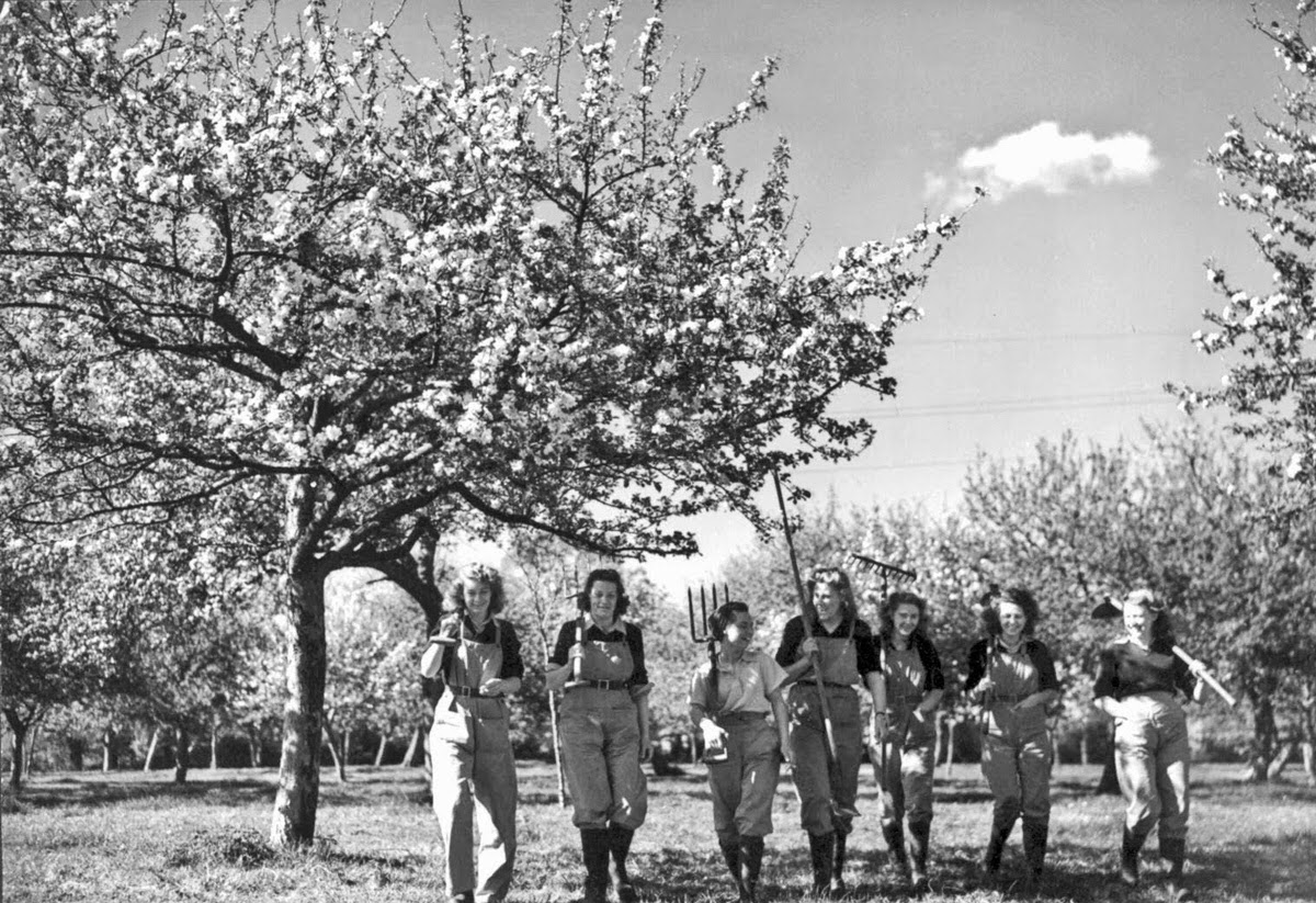 Vintage Photos of Land Girls During World War II: The Women Who Kept Britain Growing
